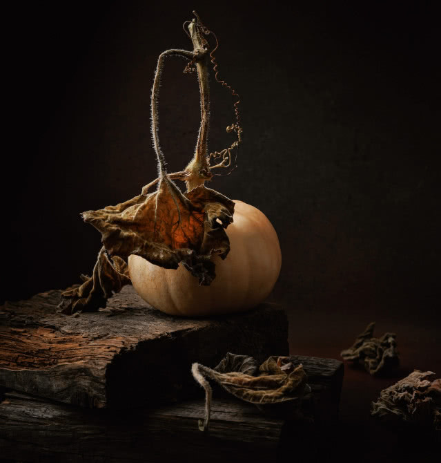 Dynia z liśćmi na halloween