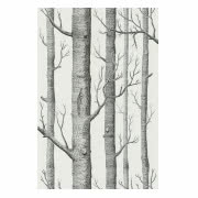 Tapeta flizelinowa Woods