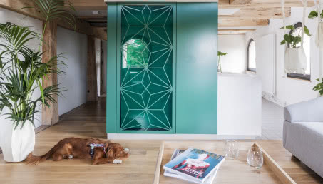 Kolorowe apartamenty w zabytkowym centrum Torunia