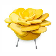 Siedzisko Summer Flower Yellow