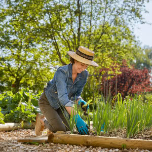 Zamień balkon w zieloną oazę 