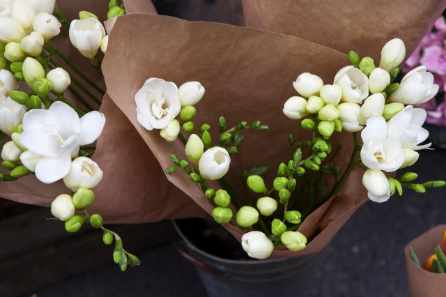 biała frezja bukiet