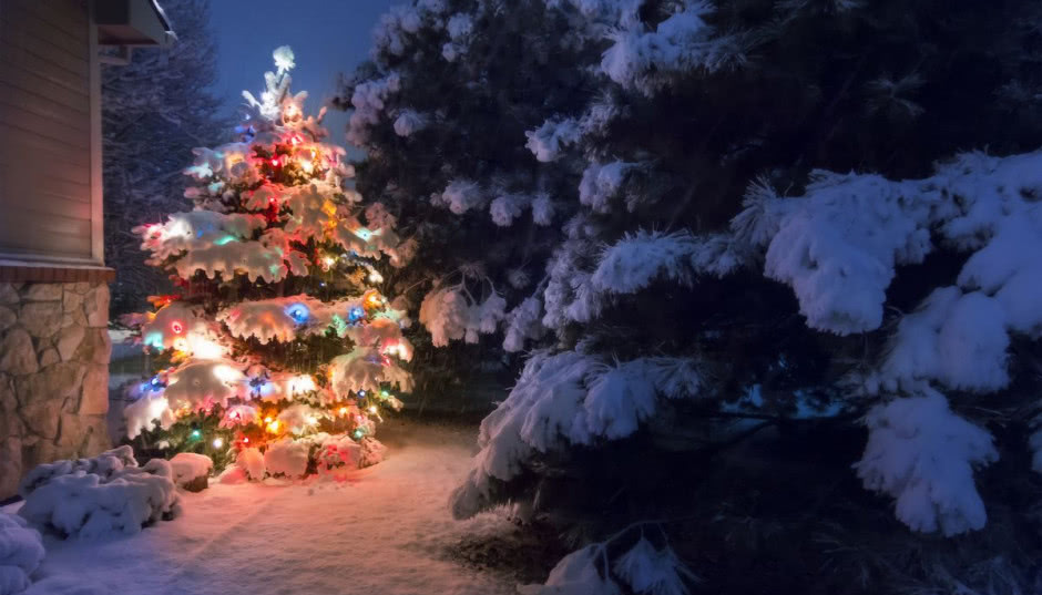 Bezpieczne oświetlenie ogrodowe na święta