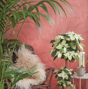 W tym roku najmodniejsze
są odmiany żółte,...