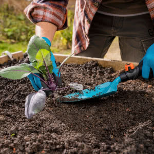 Zamień balkon w zieloną oazę 