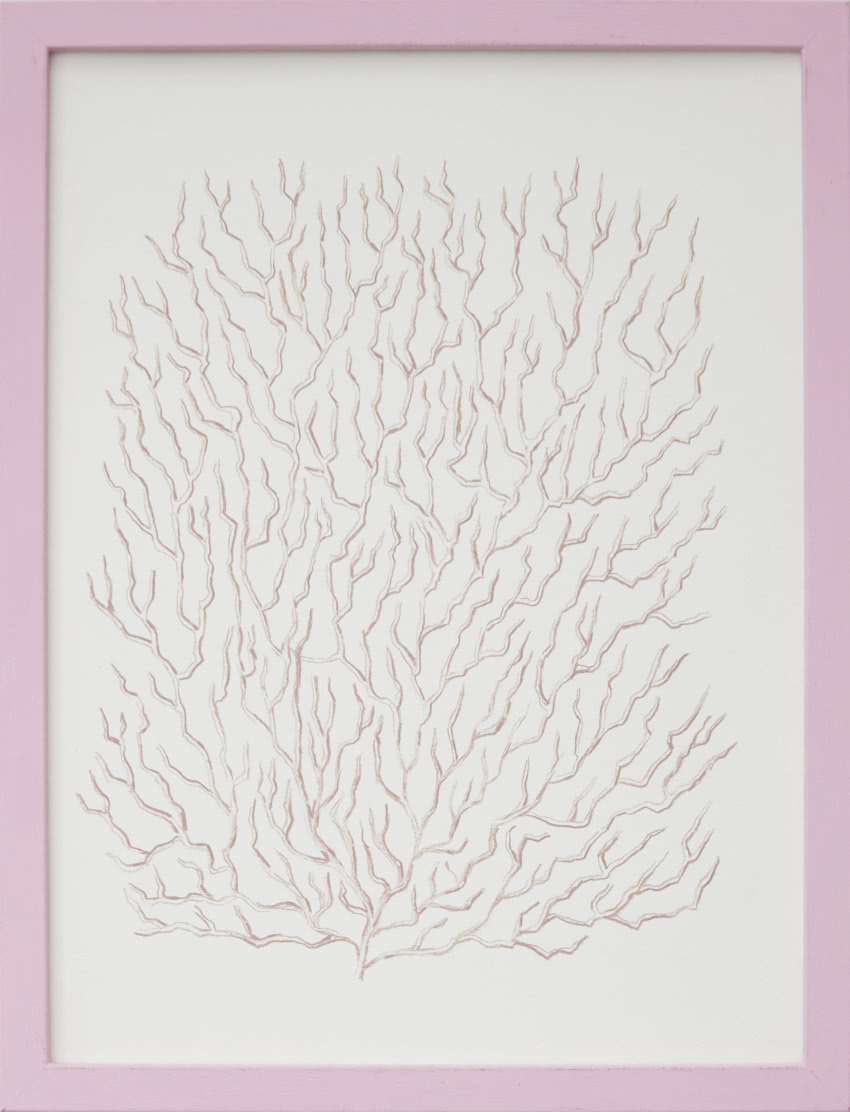 Bovska, Kompozycja 8 z cyklu Rośliny, kredka na...