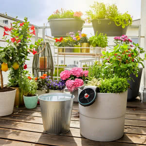 Zamień balkon w zieloną oazę 