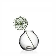 Wazon Ball Glass Vase