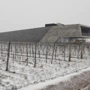 WEINGUT PREISINGER
Lokalizacja: Burgenland /...
