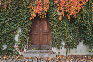Trendy ogrodowe Brytyjczyków - jak dziś wygląda angielski ogród?