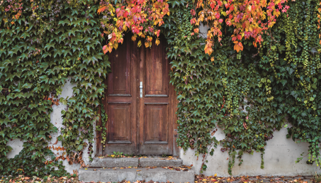 Trendy ogrodowe Brytyjczyków - jak dziś wygląda angielski ogród?