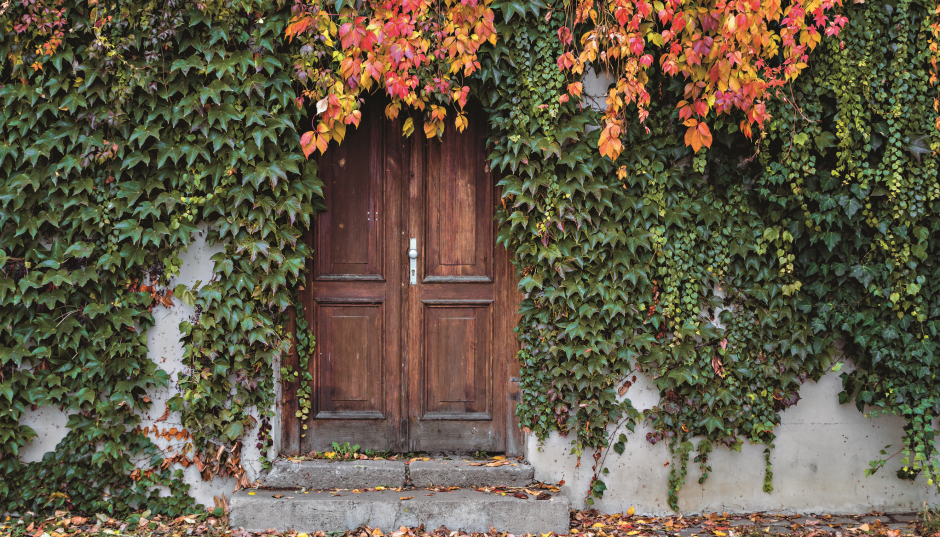 Trendy ogrodowe Brytyjczyków - jak dziś wygląda angielski ogród?