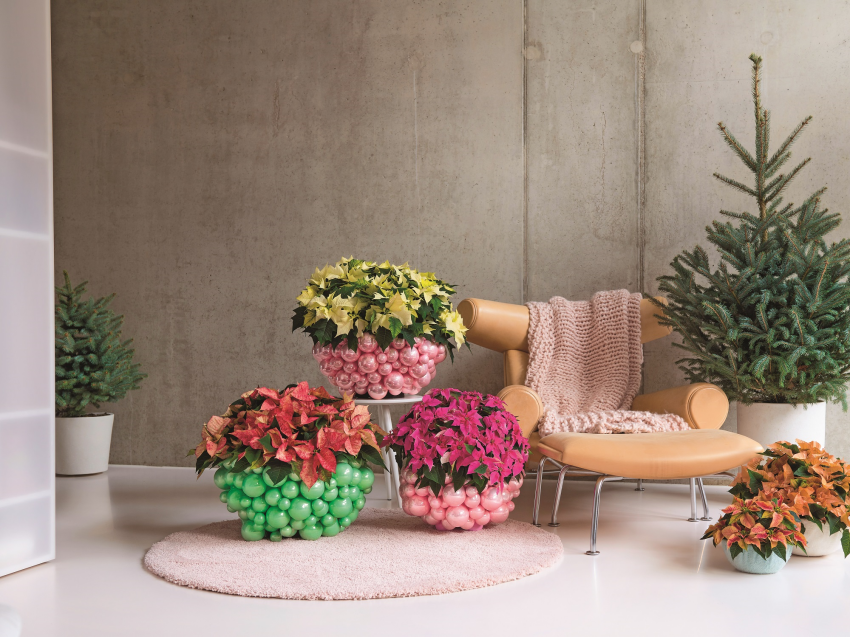 Taką osłonkę można w łatwy
sposób zrobić w...