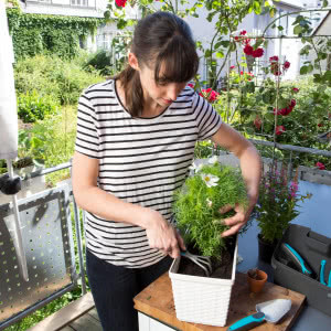 Zamień balkon w zieloną oazę 