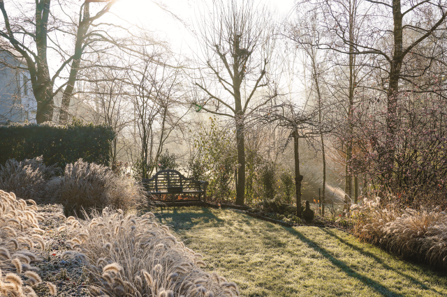 Jesienny ogród z drzewami