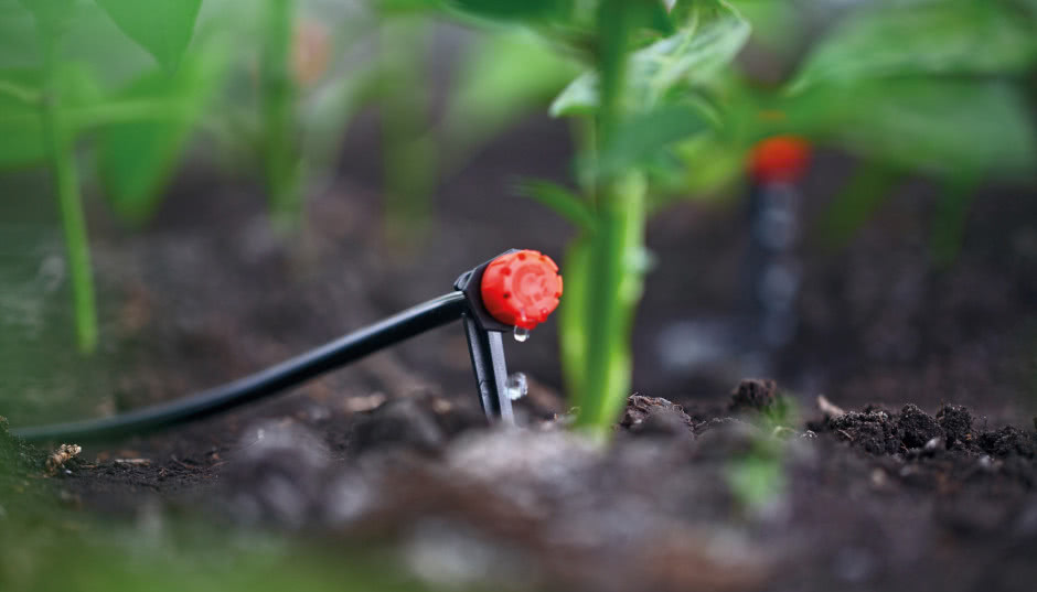 Jak ekologicznie podlewać ogród?