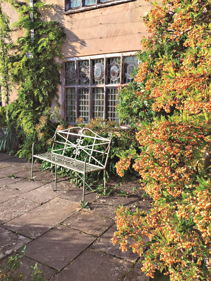 Kwintesencją idealnego ogrodu jest piękny wygląd...