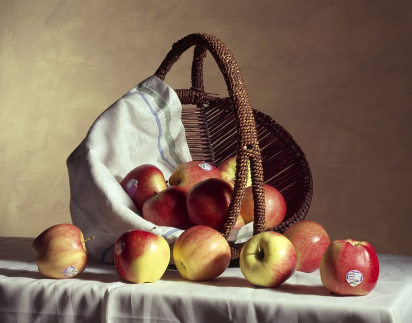 Andrzej Maciejewski, "Garden of Eden", fotografia