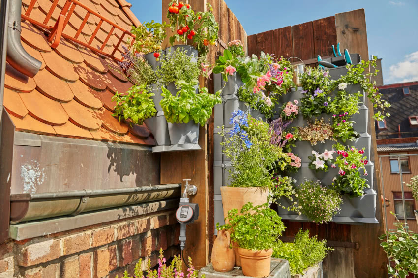 Ogród wertykalny NatureUp! 