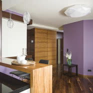 Elegancki apartament z fornirowanymi meblami 