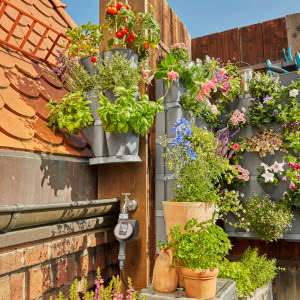 Zamień balkon w zieloną oazę 