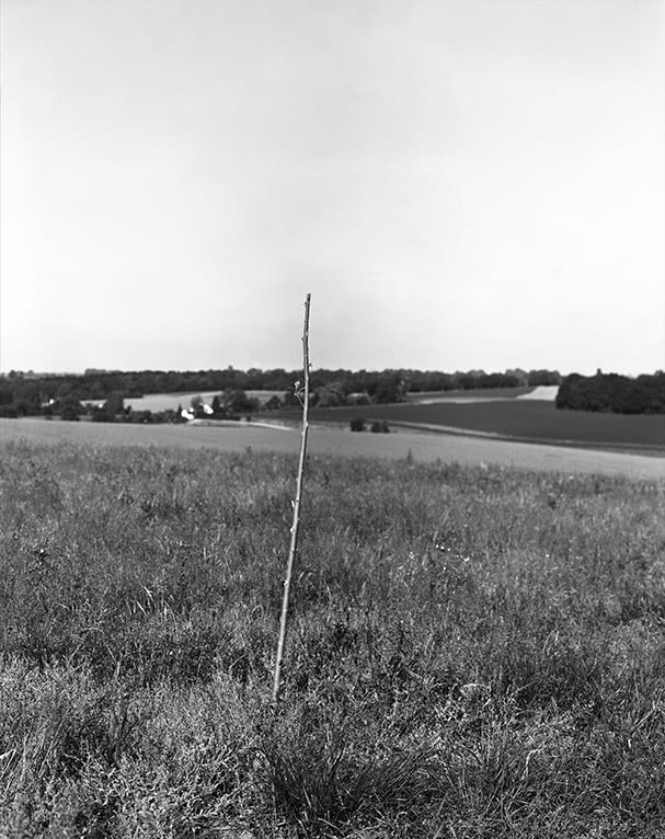 The Naked Room_Zvyagintseva_To Plant A Stick