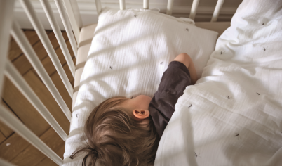 Neutralizują ślad węglowy, sadząc lasy w Belize. Ekologiczna marka Napoo nagrodzona godłem Must Have!