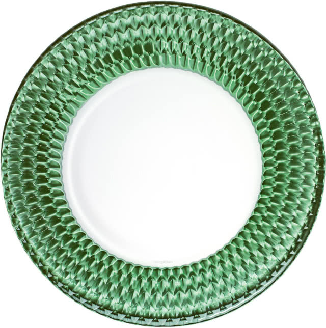 talerz z zieloną obwódką