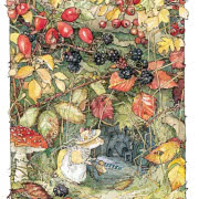 Książka Jill Barklem "W Jeżynowym Grodzie".