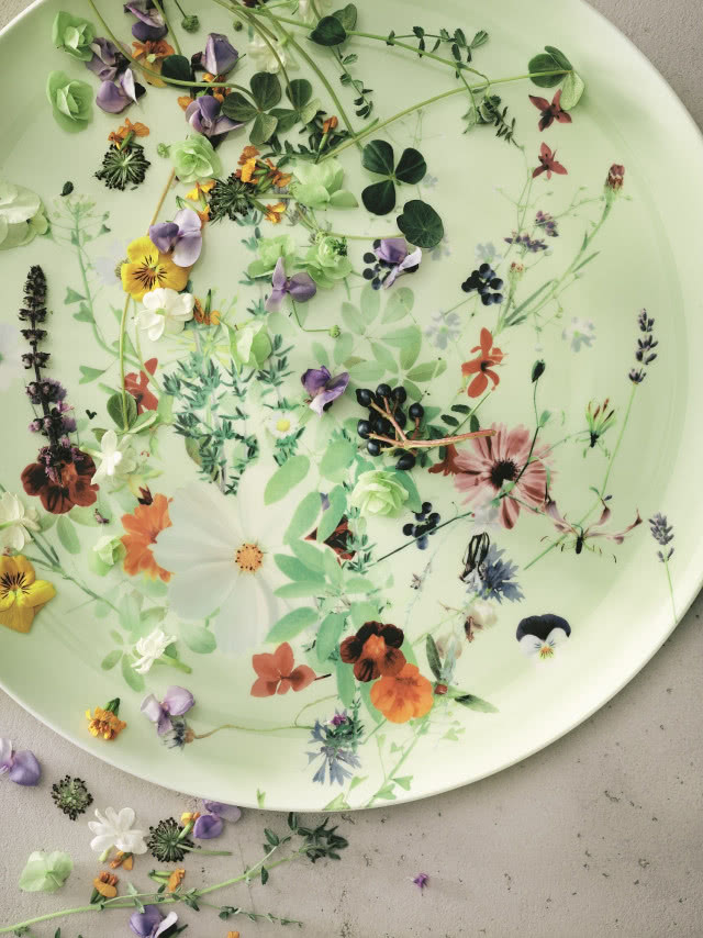 Kolekcja porcelany „Brillance” Rosenthal