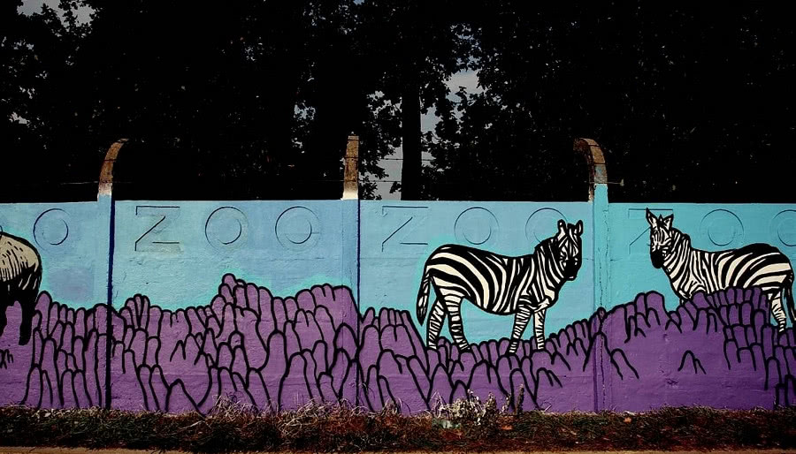 Kolorowe miasta z Duluxem