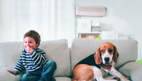 Plamoodporne sofy i fotele w salonach Agata