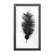 Ramka z grafiką Pióro strusia L