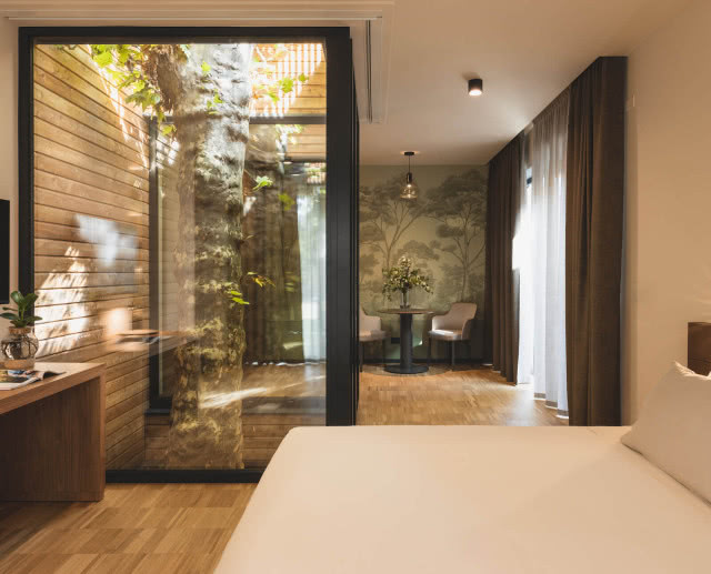 Drzewo we wnętrzu domu