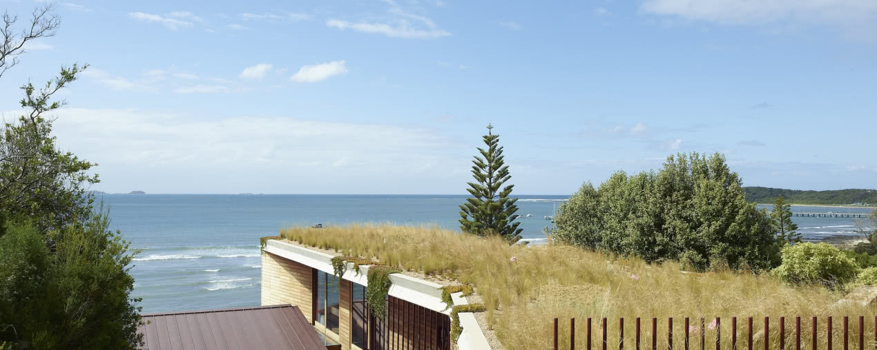 Drewniany dom porośnięty trawą! Zobaczcie, jak architekci pomysłowo wpisali go w krajobraz