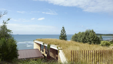 Drewniany dom porośnięty trawą! Zobaczcie, jak architekci pomysłowo wpisali go w krajobraz