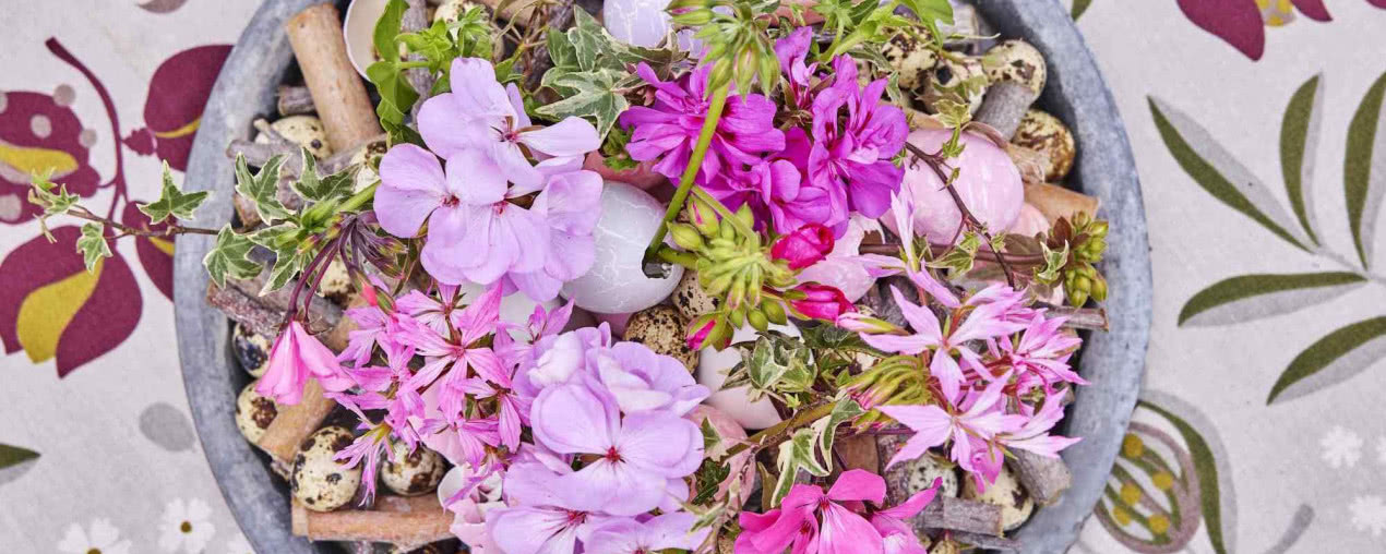 Zamiast tulipanów - pelargonie podbijają wielkanocny stół