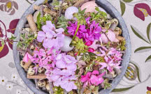 Zamiast tulipanów - pelargonie podbijają wielkanocny stół