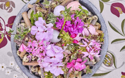 Zamiast tulipanów - pelargonie podbijają wielkanocny stół