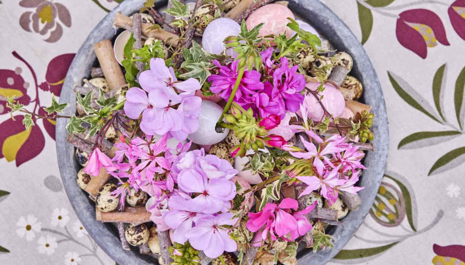 Zamiast tulipanów - pelargonie podbijają wielkanocny stół