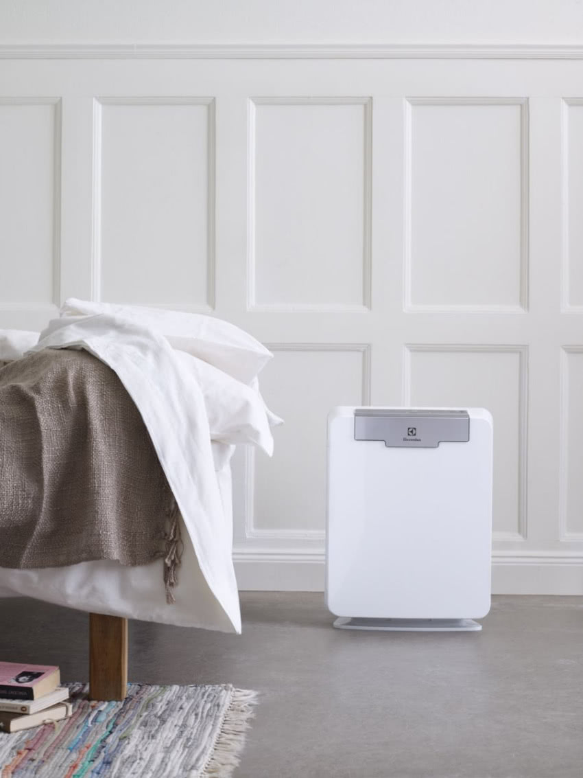 Oczyszczacz EAP450 Electrolux