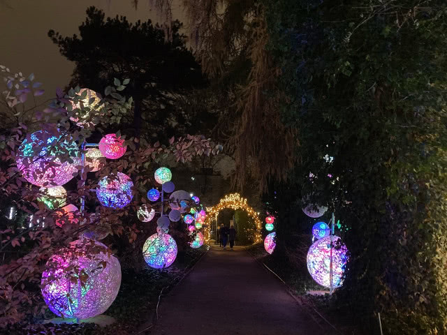 iluminacje - magiczny botaniczny