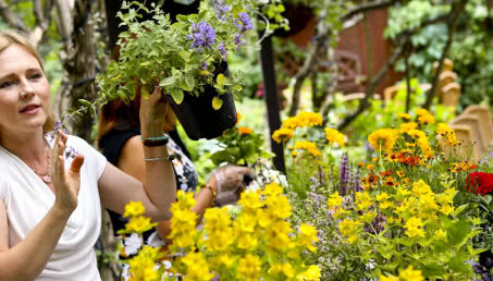 Pomagamy pszczołom - jak stworzyć ogród i balkon przyjazny pszczołom radzi Maja Popielarska