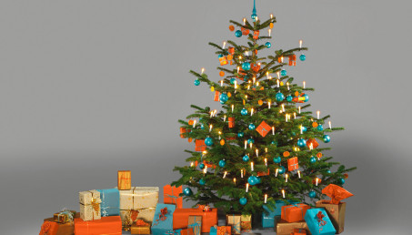 Jak znaleźć świąteczny prezent dla miłośników ogrodu?