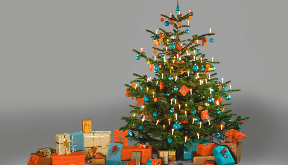 Jak znaleźć świąteczny prezent dla miłośników ogrodu?