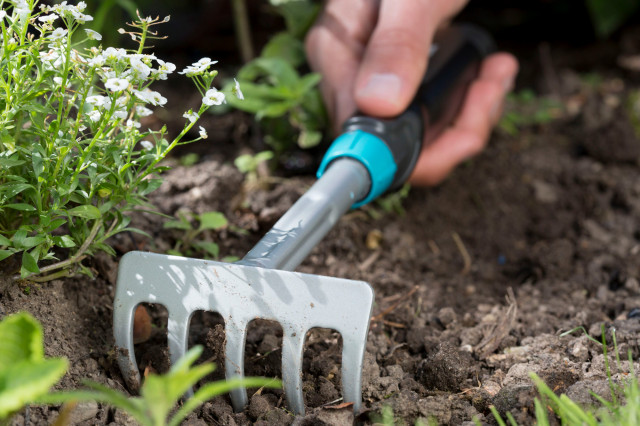 zestawu narzędzi ogrodniczych