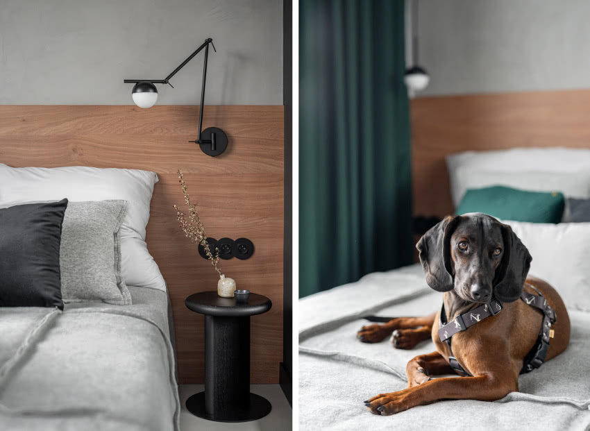 proj. Noomi studio, fot. INKADR Natalia Kaczmarek