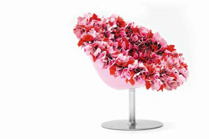 Bouquet
- fotel kwiat,
Moroso