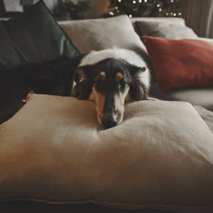 Za co kochamy Święta Bożego Narodzenia? Magia, wspomnienia i wyjątkowe chwile