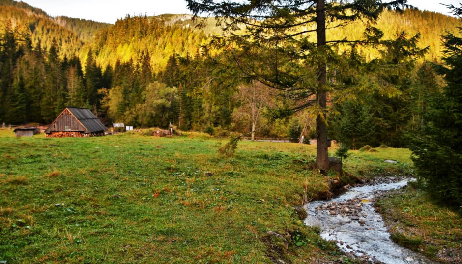 Zdecyduj, jak będzie wyglądała toaleta w Tatrzańskim Parku Narodowym [głosowanie]